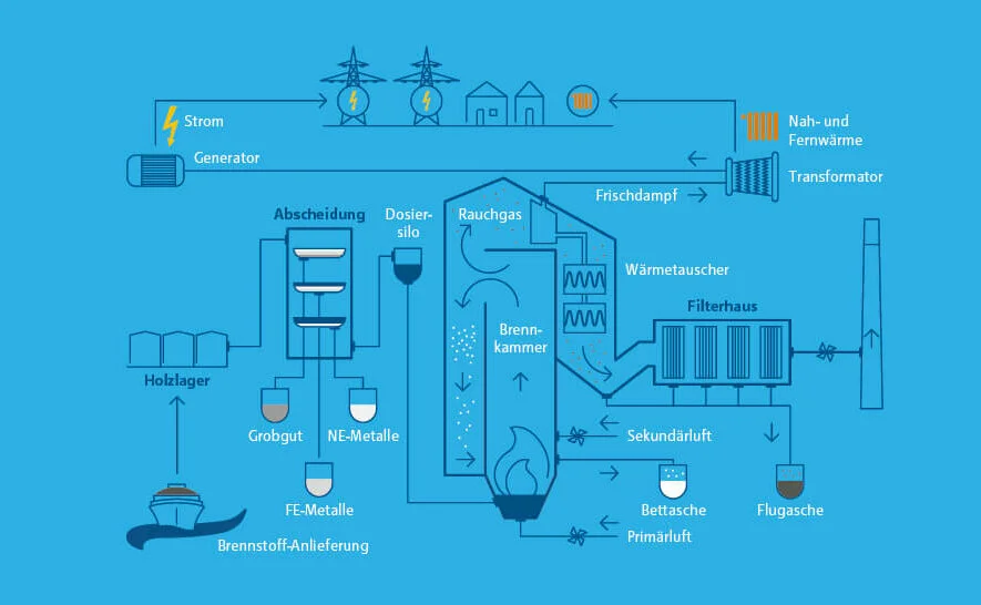 Infografik zur Funktionsweise eines Biomassekraftwerks