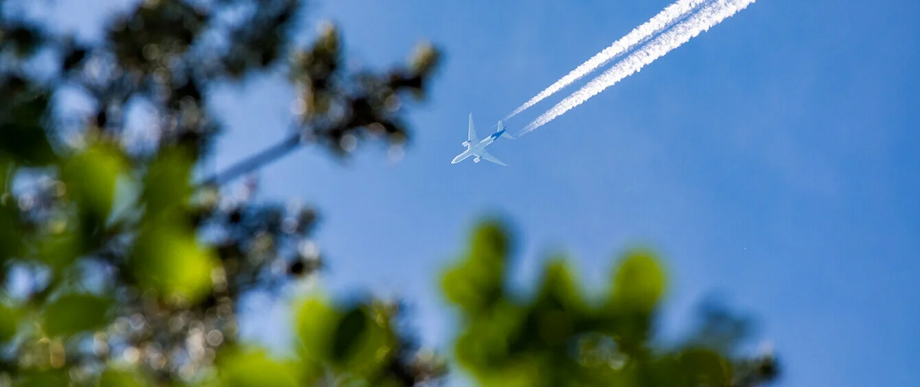 Flugzeug mit Kondensstreifen am blauen Himmel und Blättern