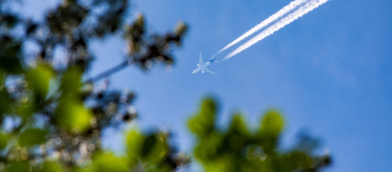 Flugzeug mit Kondensstreifen am blauen Himmel und Blättern