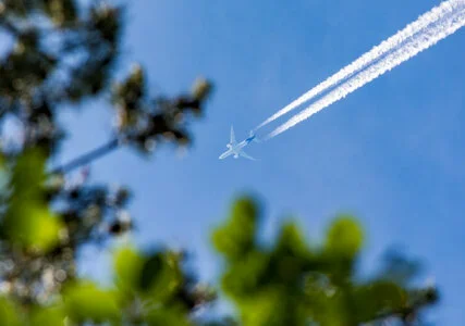 Flugzeug mit Kondensstreifen am blauen Himmel und Blättern