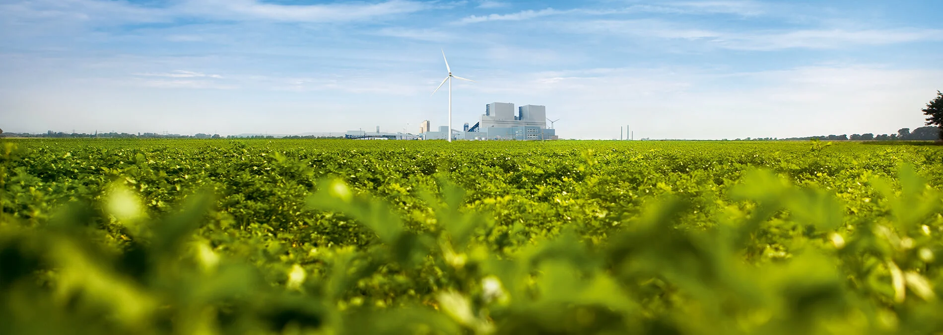 Kraftwerk in der Ferne vor grüner Landschaft