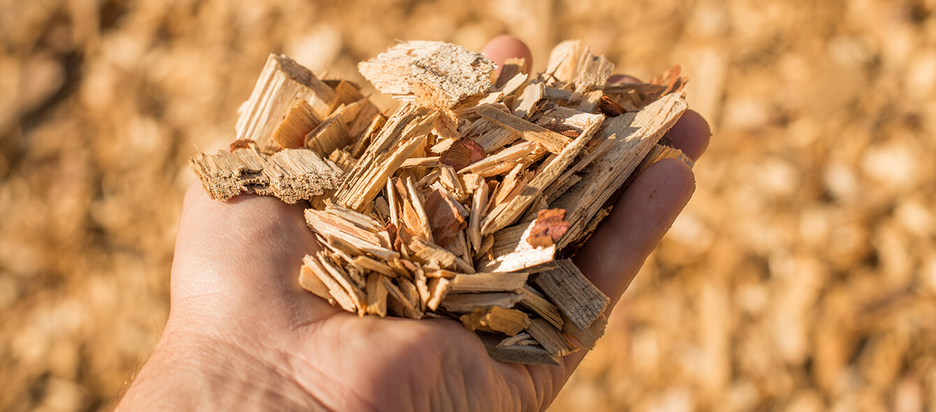 Stimmungsbild Biomasse Holzschnitzel in Hand