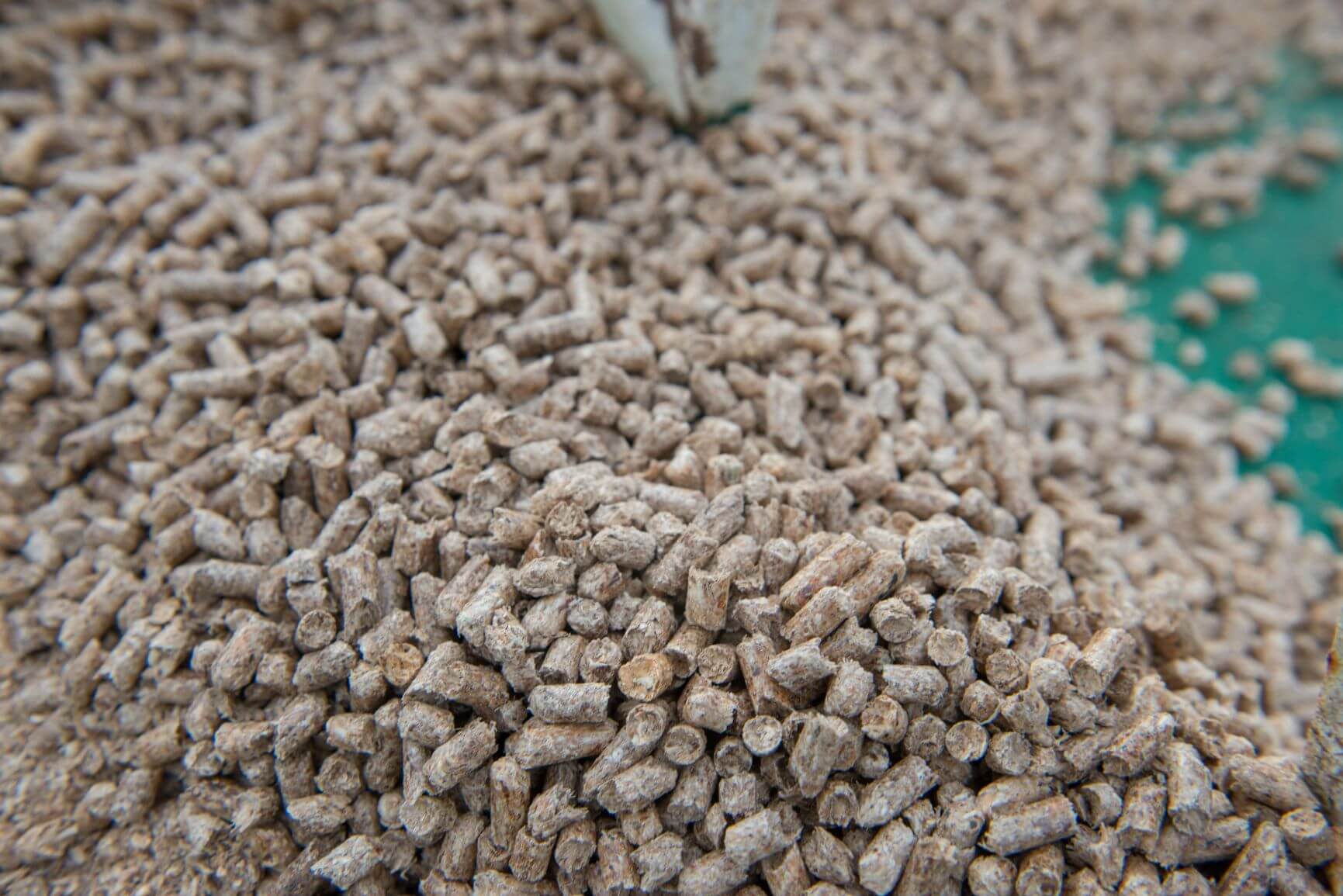 Pellets zur Erzeugung grünen Stroms mit Biomasse