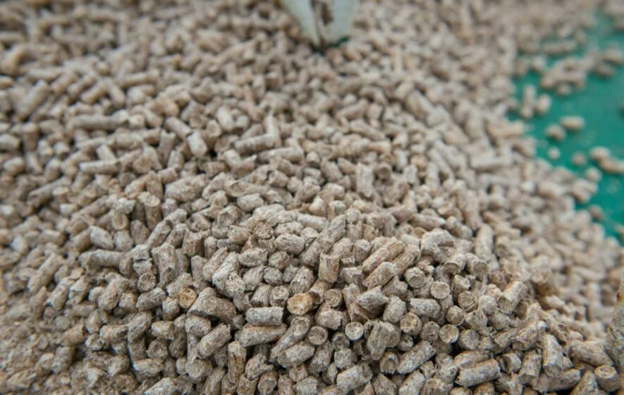 Biomasse für eine nachhaltige Stromversorgung Nahaufnahme Holzpellets