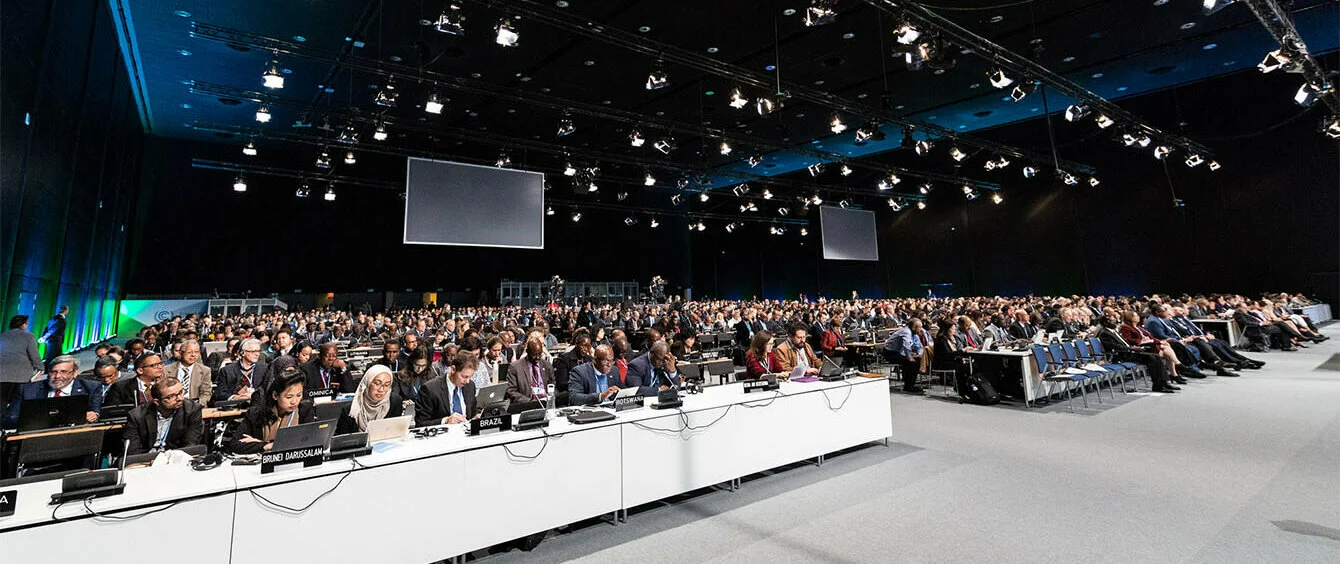 Teilnehmer des UN Klimagipfels in Kattowitz im Plenarsaal