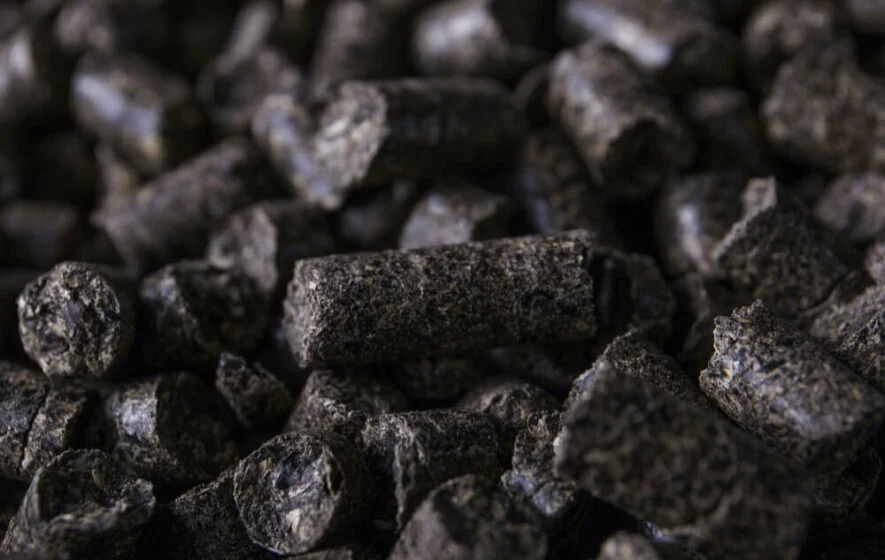 Pellets zur Energiegewinnung in Nahaufnahme