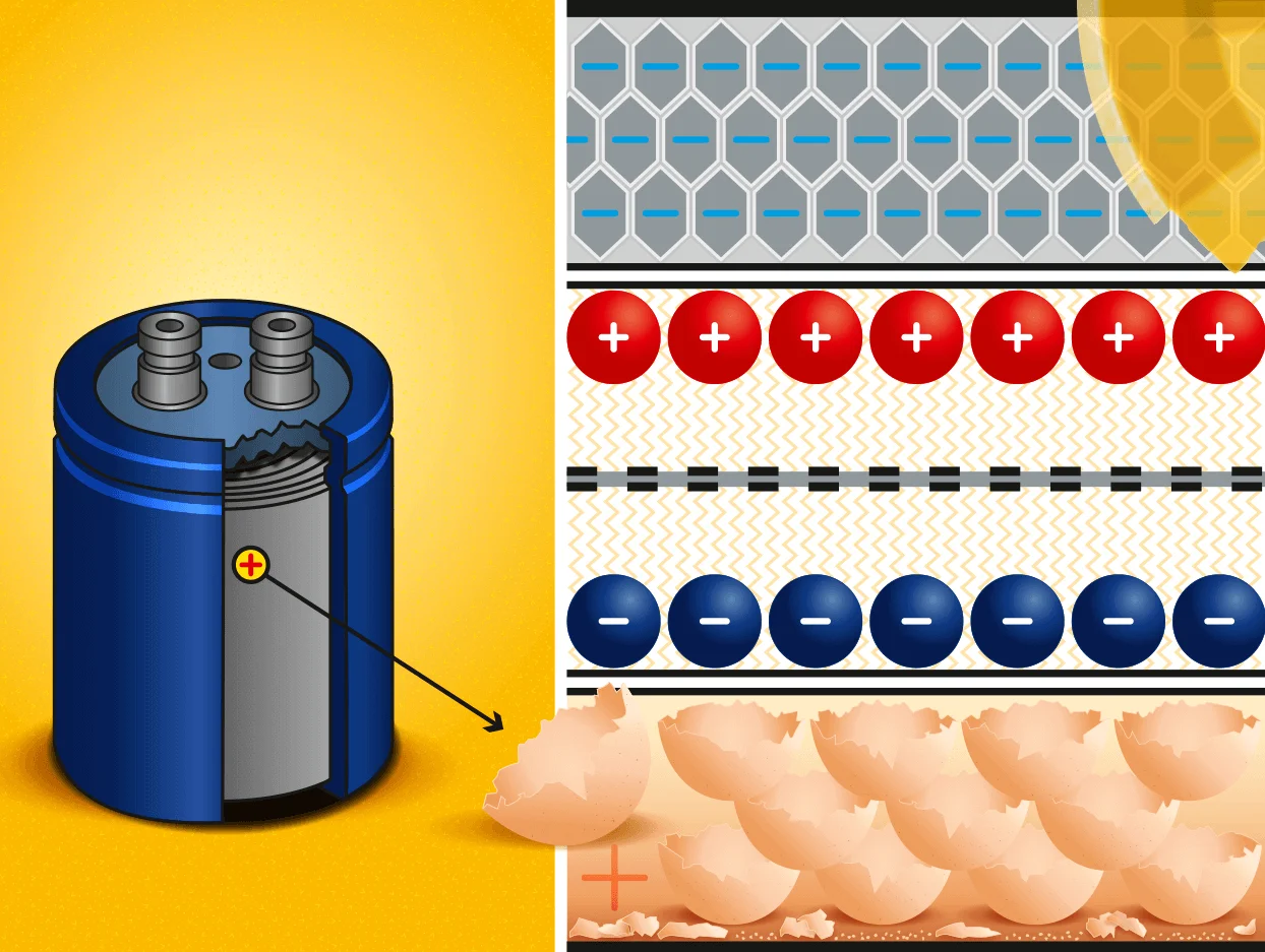 Egg batteries from Australia