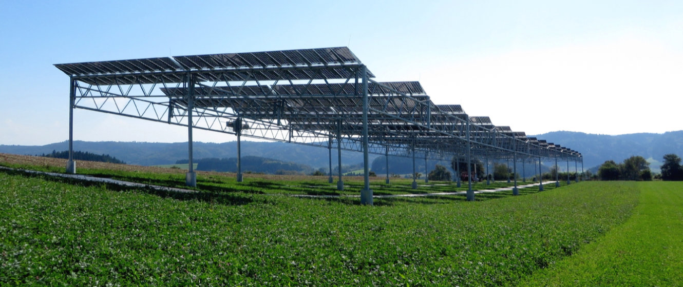 Agrophotovoltaik – oben Solarmodule, unten Kartoffeln