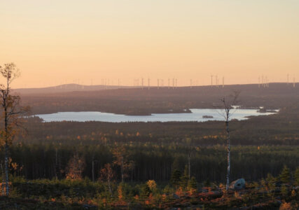 Wind power boom in Sweden