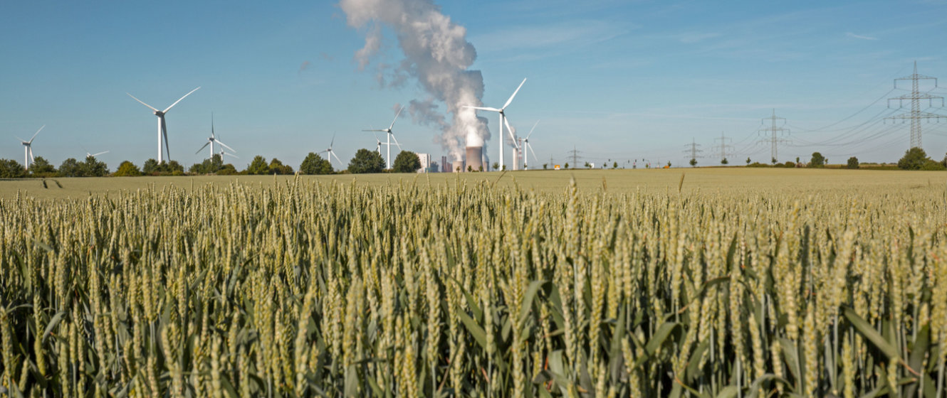 Mehr Windstrom, weniger Exporte und sinkende Emissionen in Deutschland