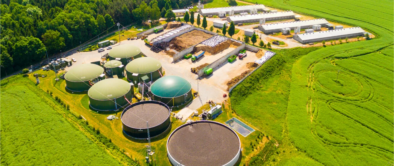 Energieträger Biomasse – weit mehr als Pellets und E10