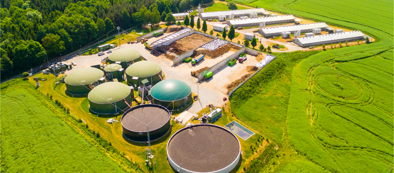 Biomass A Source Of Energy That Clearly Trumps Pellets And E10 En Former Biomass A Source Of Energy That Clearly Trumps Pellets And E10 En Former