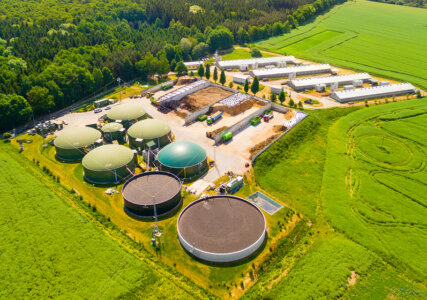 Energieträger Biomasse – weit mehr als Pellets und E10