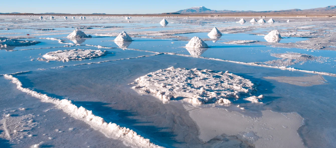 Scientists intend to fish lithium out of the sea