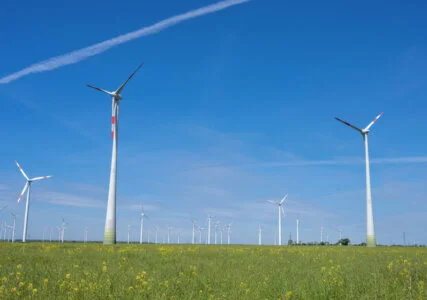 Ultrasonic emissions from wind turbines do not cause damage