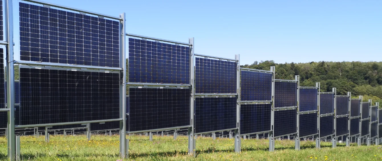 Agri-Photovoltaik: Solarpark und Acker in einem