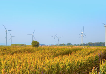 Erneuerbare Energien decken 2020 gut 46 Prozent des Stromverbrauchs