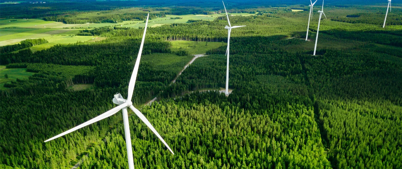 Green Bonds: So finanziert sich die Energiewende