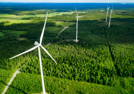 Green Bonds: So finanziert sich die Energiewende