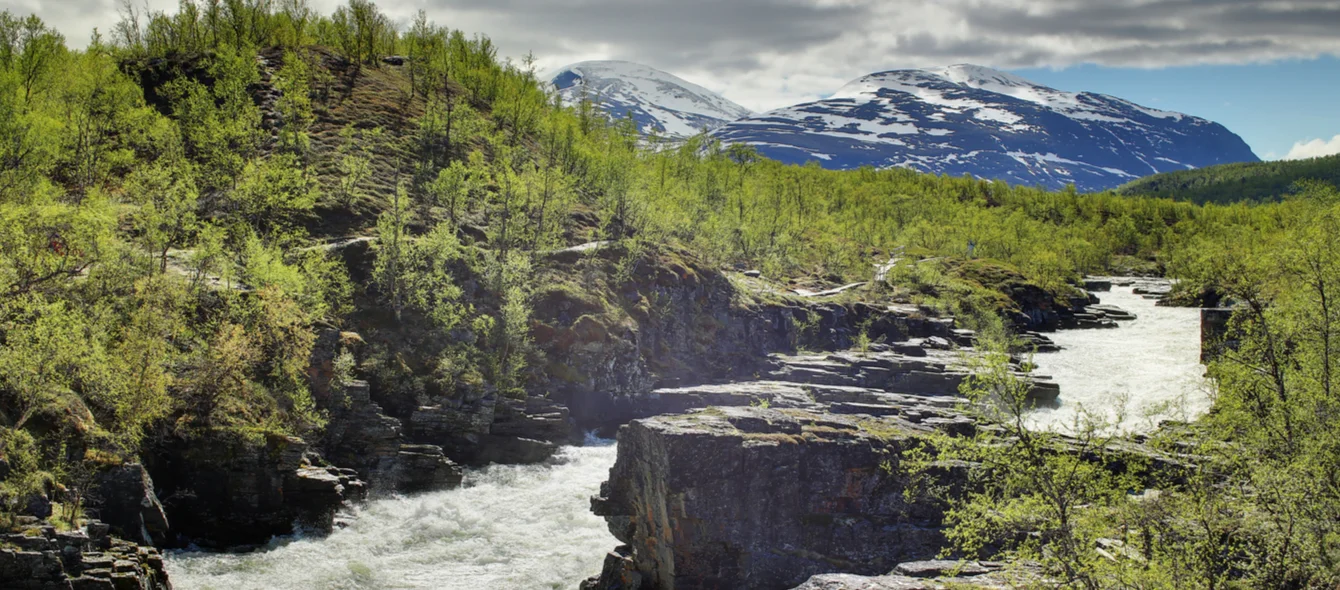 Technology leader Sweden ups the ante for zero-carbon steel