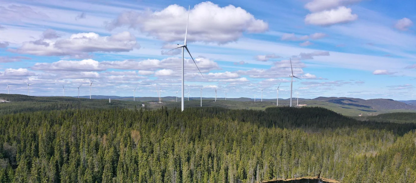 Globale Investitionen in Erneuerbare 2021 auf Rekordhoch
