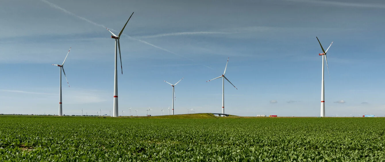 Ausbau der Windenergie in Deutschland nimmt wieder Fahrt auf