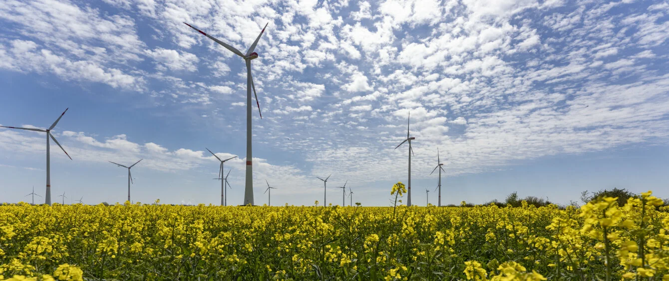 Deutsche Experten testen neue Windtechnologien in Reallaboren
