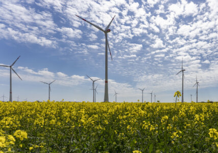 Deutsche Experten testen neue Windtechnologien in Reallaboren