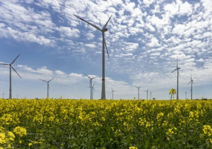 Deutsche Experten testen neue Windtechnologien in Reallaboren