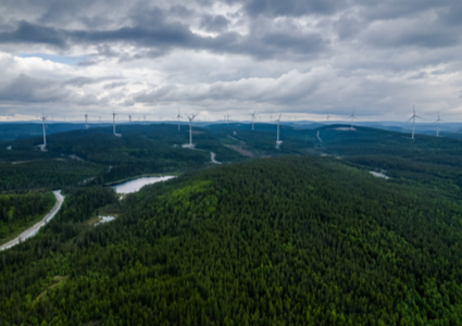 Der Windpark Nysäter im Norden Schwedens