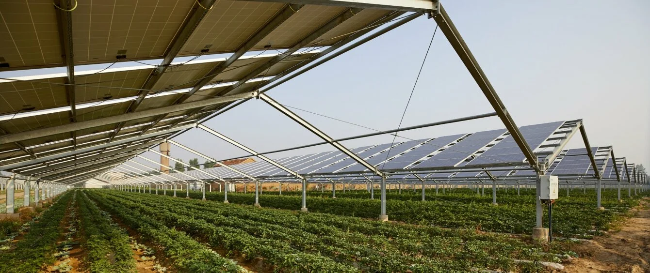 Agri-PV Anlage