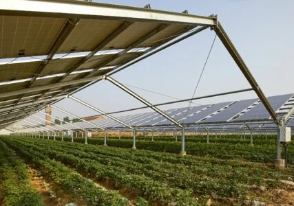 Agri-PV Anlage