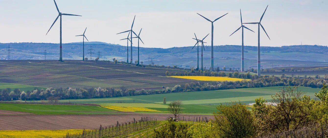 Landschaft mit Weinbergen und Windturbinen