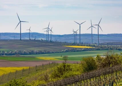 Landschaft mit Weinbergen und Windturbinen